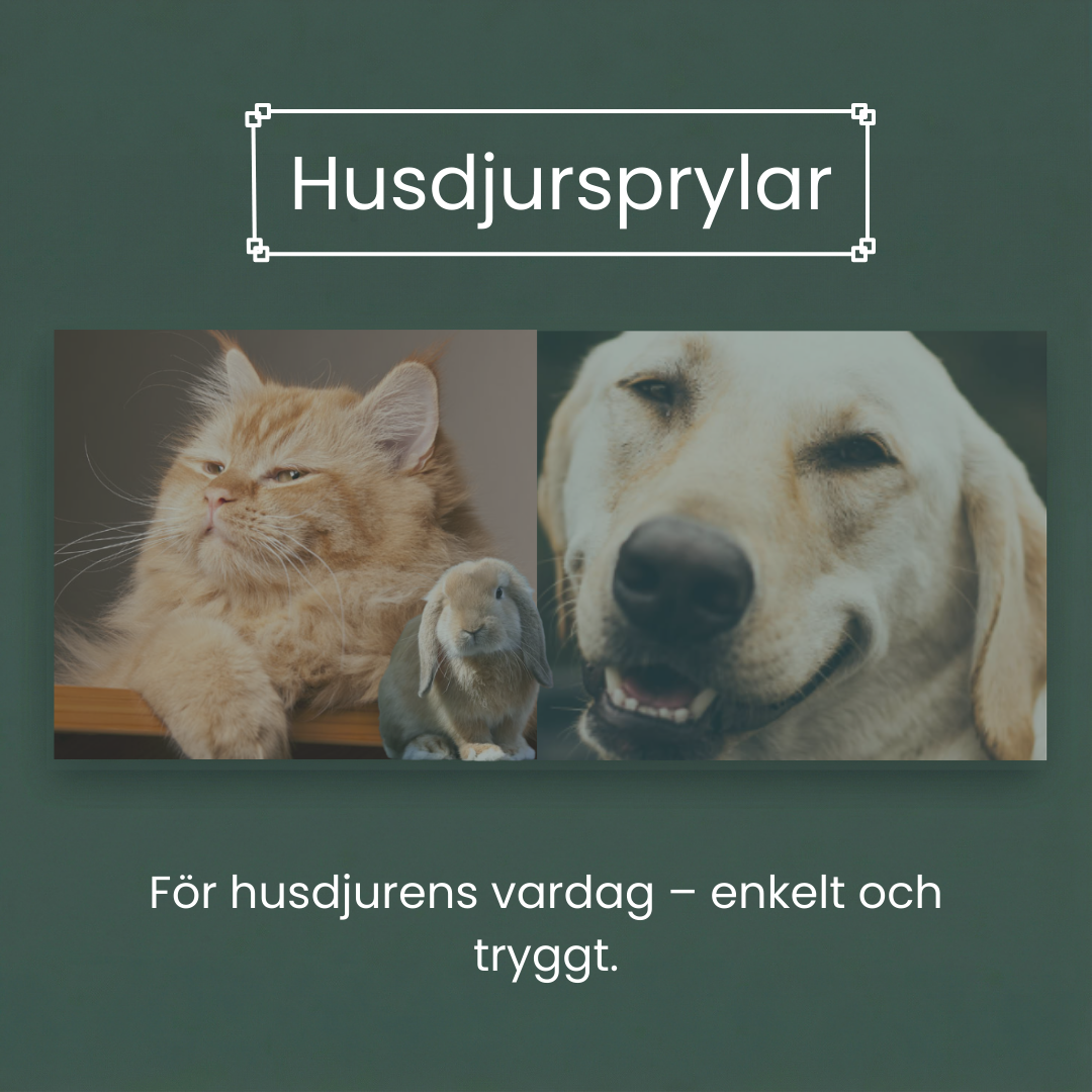 Zabawki dla zwierząt domowych